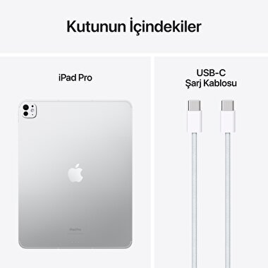 Apple 13 inç iPad Pro M4 WiFi + Cellular 1TB  Standard  Cam Gümüş  MVXX3TU/A